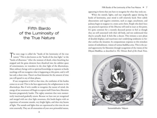 The Six Bardos of the Tibetan Book of the Dead: Dzogchen Teachings on the Peaceful and Wrathful Deities