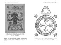 Alternative view 7 of The Astrological Goetia: The 72 Keys to Angelic and Demonic Astrology