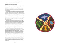 Alternative view 10 of Earth Wisdom Teachings: Practical Guidance from the Eight Directions of the Medicine Wheel