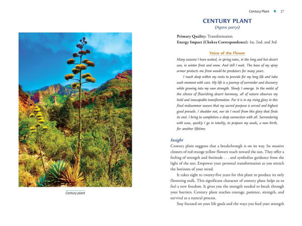 Plant Energy Medicine: The Guiding Voice and Healing Vibration of 58 Plants