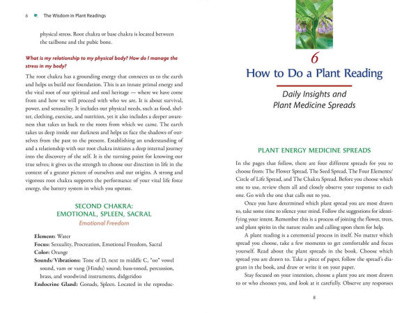 Plant Energy Medicine: The Guiding Voice and Healing Vibration of 58 Plants