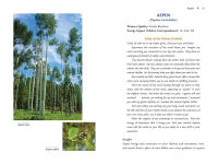 Alternative view 14 of Plant Energy Medicine: The Guiding Voice and Healing Vibration of 58 Plants