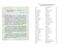 Alternative view 2 of Plant Energy Medicine: The Guiding Voice and Healing Vibration of 58 Plants