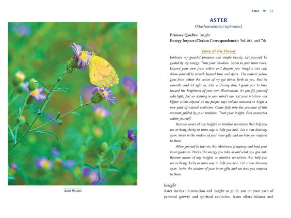 Plant Energy Medicine: The Guiding Voice and Healing Vibration of 58 Plants