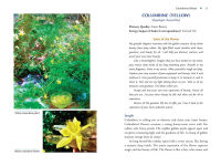 Alternative view 6 of Plant Energy Medicine: The Guiding Voice and Healing Vibration of 58 Plants