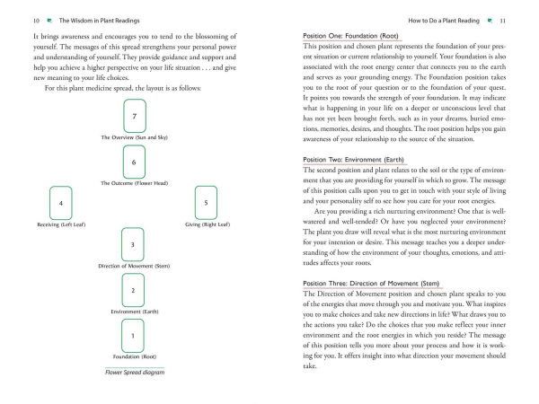 Plant Energy Medicine: The Guiding Voice and Healing Vibration of 58 Plants