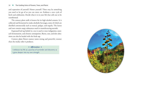 Plant Energy Medicine: The Guiding Voice and Healing Vibration of 58 Plants