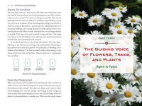Alternative view 10 of Plant Energy Medicine: The Guiding Voice and Healing Vibration of 58 Plants