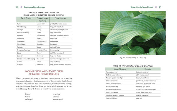 Advanced Flower Essence Healing: New Frontiers in the Field of Bach Flower Remedies