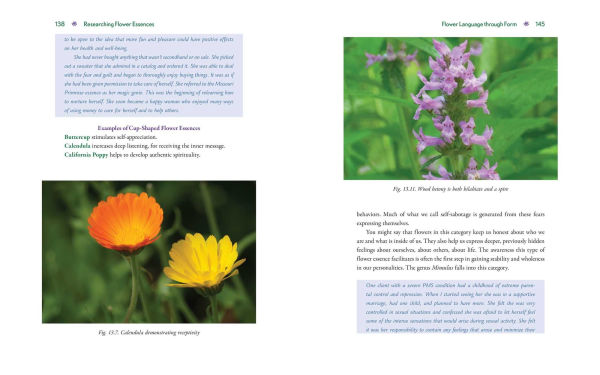Advanced Flower Essence Healing: New Frontiers in the Field of Bach Flower Remedies