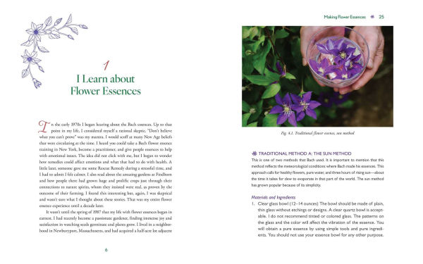 Advanced Flower Essence Healing: New Frontiers in the Field of Bach Flower Remedies
