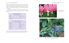Alternative view 4 of Advanced Flower Essence Healing: New Frontiers in the Field of Bach Flower Remedies