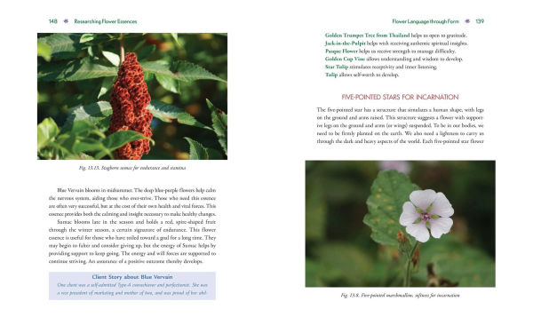 Advanced Flower Essence Healing: New Frontiers in the Field of Bach Flower Remedies