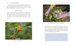 Alternative view 6 of Advanced Flower Essence Healing: New Frontiers in the Field of Bach Flower Remedies