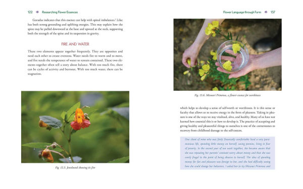 Advanced Flower Essence Healing: New Frontiers in the Field of Bach Flower Remedies
