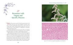 Alternative view 8 of Advanced Flower Essence Healing: New Frontiers in the Field of Bach Flower Remedies
