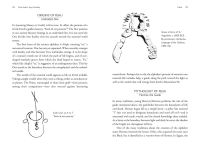 Alternative view 6 of Futhark Rune Mysteries: Origins of Magic and Divination in the Primal Alphabet