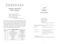 Alternative view 9 of Futhark Rune Mysteries: Origins of Magic and Divination in the Primal Alphabet