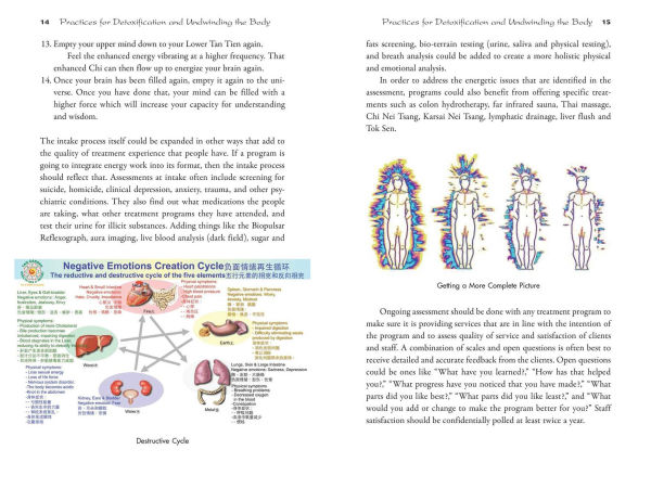 the Tao of Addiction and Recovery: Chi Kung Practices for Restoring Energy Flow Mind Body
