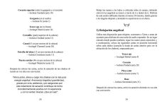 Alternative view 8 of Oráculo de los Arcángeles Femeninos: 44 cartas y un libro guía para empoderarse