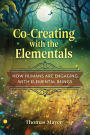 Co-Creating with the Elementals: How Humans Are Engaging with Elemental Beings