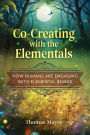Co-Creating with the Elementals: How Humans Are Engaging with Elemental Beings