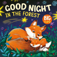 Title: Good Night in the Forest, Author: Clever Publishing