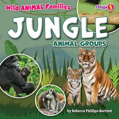 Jungle Animal Groups