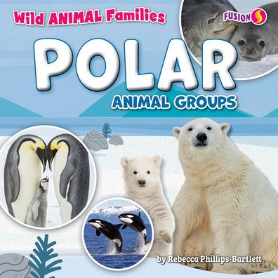 Polar Animal Groups