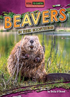 Beavers Their Ecosystems