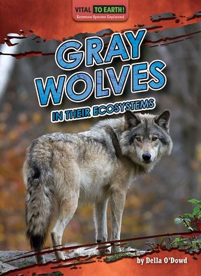 Gray Wolves Their Ecosystems