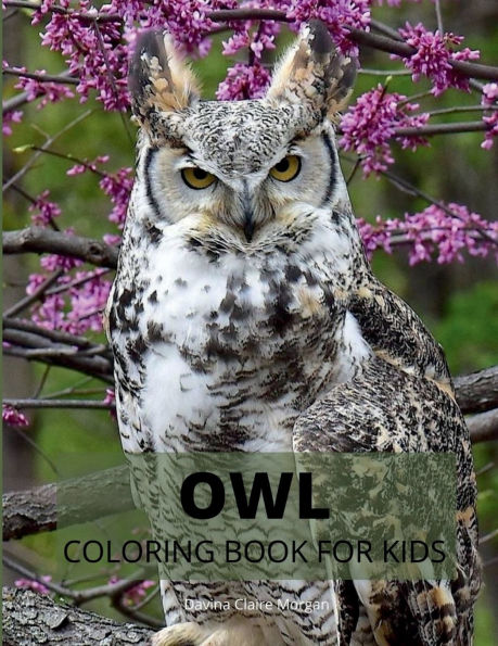 Owl Coloring Book for Kids: Cute Owl Designs to Color for Girls, Boys and Kids Ages 3-8 Coloring and Acitivity Book for Kids Ages 3-8 with Adorable and Cute Owls