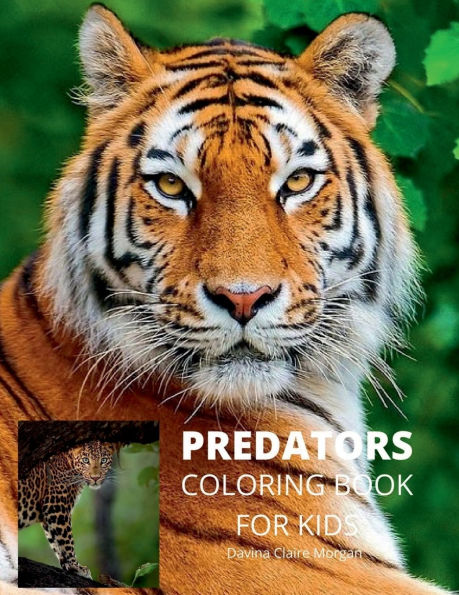 Predators Coloring Book for Kids: Wildlife Animal Coloring Book for Kids Ages 3 and Up Funny Learning Coloring and Activity Book for Boys, Girls and Kids with Predators Perfect Gift for Kids