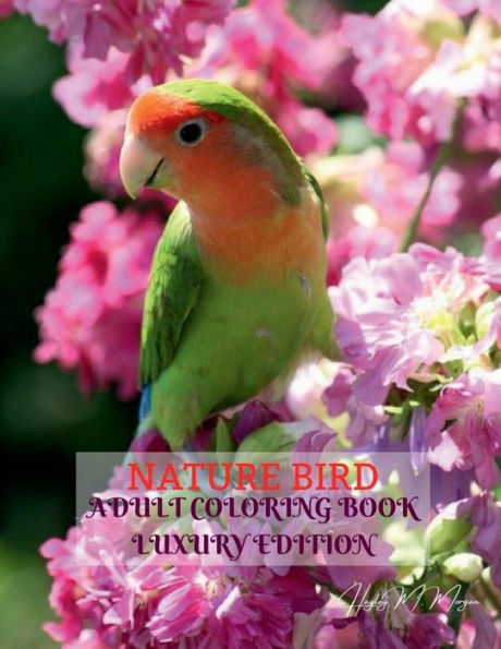 Nature Bird Adult Coloring Book Luxury Edition: Unique and Amazing Nature and Bird Adult Coloring Book Creative Haven Birds Adult Coloring Book Dover Nature Relaxation, Meditation and Happiness Coloring Book for Adults