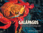 Galápagos: Where the Wild Things Are