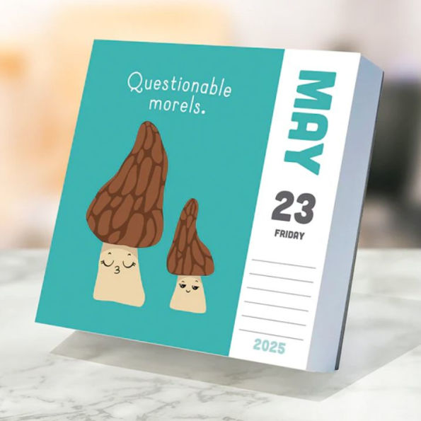2025 Puns of Fun Daily Desktop Calendar