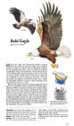 Alternative view 3 of Book of North American Birds: An Illustrated Guide to More Than 600 Species