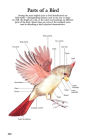 Alternative view 4 of Book of North American Birds: An Illustrated Guide to More Than 600 Species