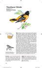 Alternative view 7 of Book of North American Birds: An Illustrated Guide to More Than 600 Species