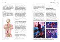 Alternative view 4 of Core: A Science-Backed Approach to Exercising and Understanding Our Central Anatomy