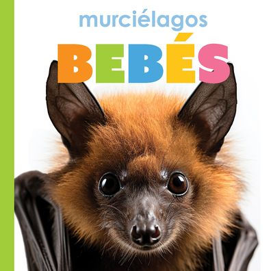 Murciï¿½lagos Bebï¿½s