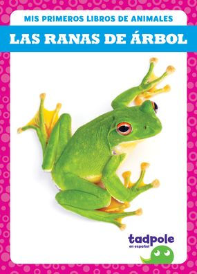 Las Ranas de ï¿½rbol (Tree Frogs)
