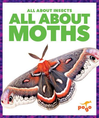 All about Moths