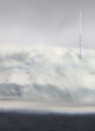 Text book downloader Tristan Duke: Glacial Optics by Tristan Duke, William L. Fox, Lucy R. Lippard, Michael Govan, Mark Cheetham 9798890181152 PDF English version
