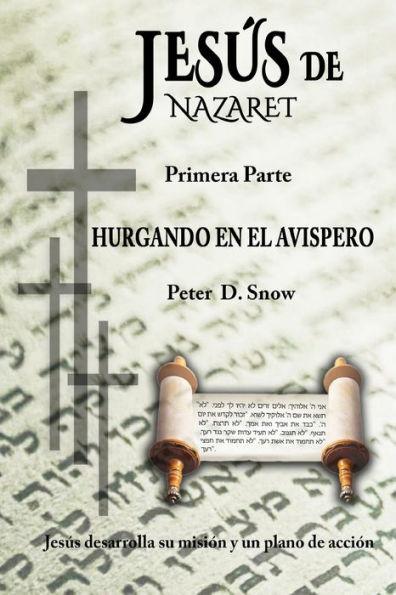 Jesï¿½s de Nazaret: Hurgando En El Avispero