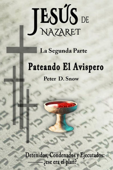 Jesï¿½s de Nazaret: Pateando El Avispero