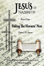 Jesus of Nazareth: Poking the Hornets' Nest: Jesus Develops His Mission Statement and an Action Plan