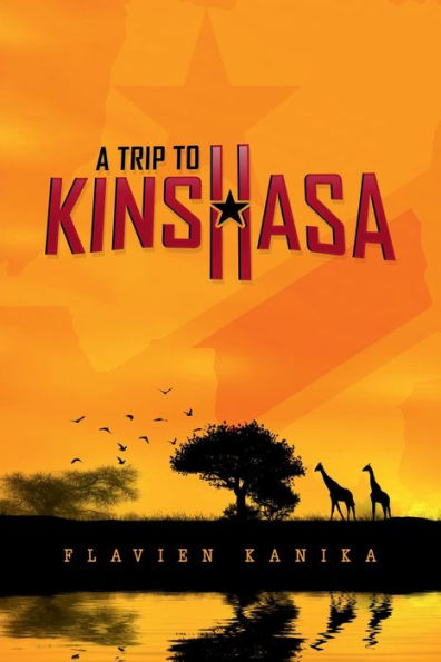 A TRIP TO KINSHASA