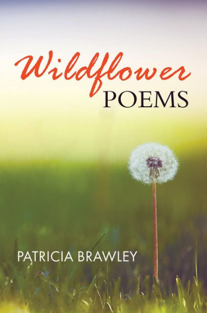 Wildflower Poems by Patricia Brawley, Paperback | Barnes & Noble®