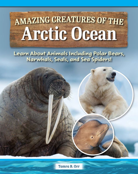 Amazing Creatures of the Arctic Ocean: Learn About Animals Including Polar Bears, Narwhals, Seals, and Sea Spiders!